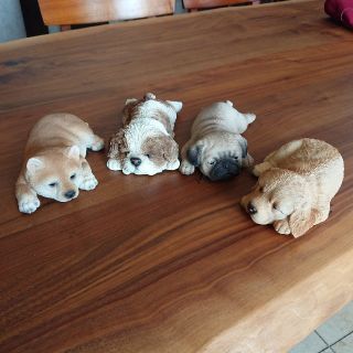 わんこ癒し☆うたた寝・シーズー☆新品(犬)