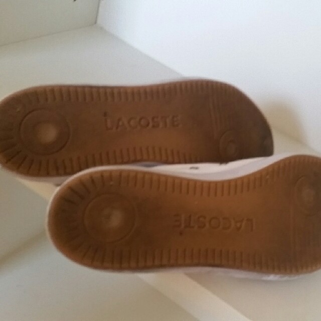 LACOSTE(ラコステ)の最終値下げ LACOSTE ラコステ メンズスニーカー クリーニング済 メンズの靴/シューズ(スニーカー)の商品写真