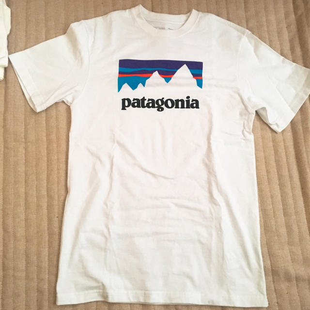 PatagoniaTシャツ