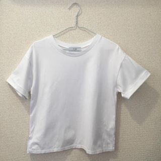 スローブイエナ(SLOBE IENA)のレディース Tシャツ(Tシャツ(半袖/袖なし))