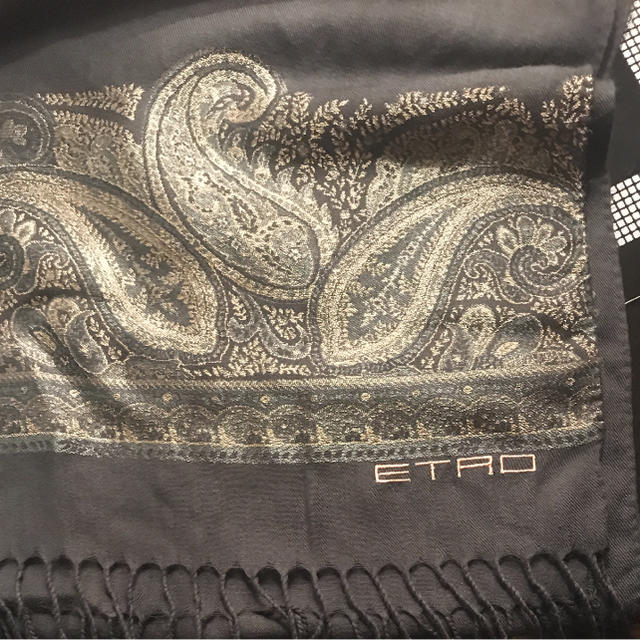 ETRO - チャイ ETRO エトロ ストール