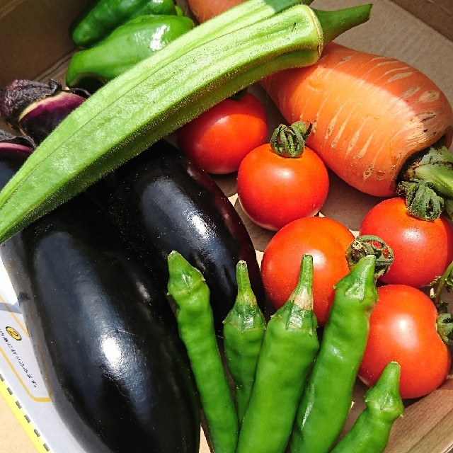 【完全無農薬】夏野菜詰め合わせ 食品/飲料/酒の食品(野菜)の商品写真