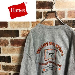 ヘインズ(Hanes)のHanes T Shirt USA古着 90’s ヘインズ  古着 レア(Tシャツ/カットソー(半袖/袖なし))