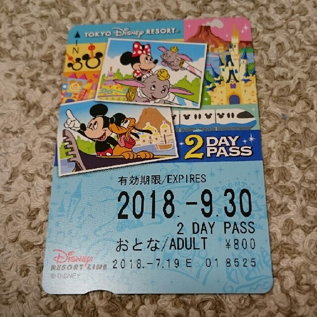 ディズニーリゾートライン 2DAY PASS チケットの乗車券/交通券(鉄道乗車券)の商品写真