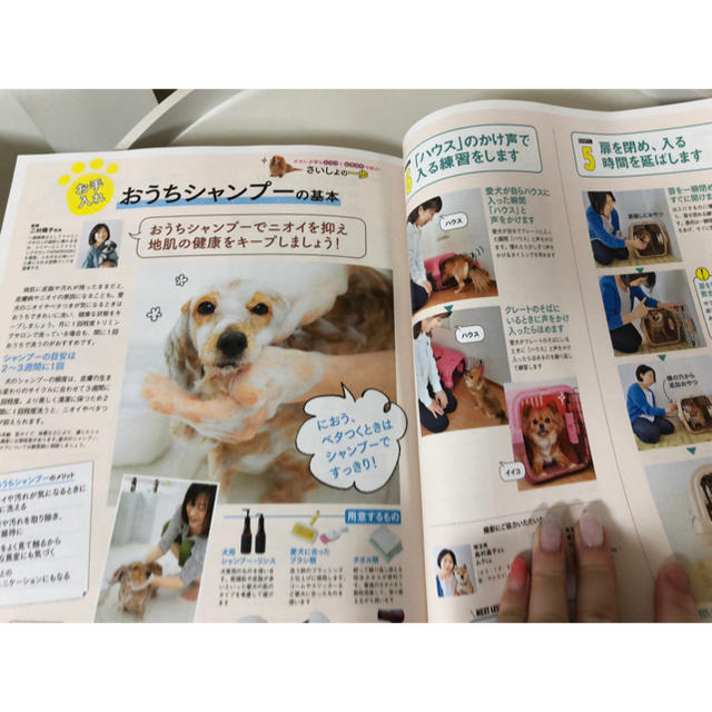 DOG DEPT(ドッグデプト)の「初めて飼い主さんの いぬのきもち」   2018年年5月号 その他のペット用品(犬)の商品写真