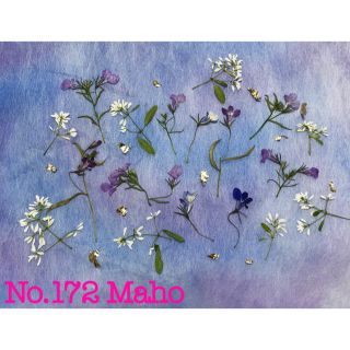 ♡押し花素材♡ロベリア、ユーフォルビア、金箔♡(各種パーツ)