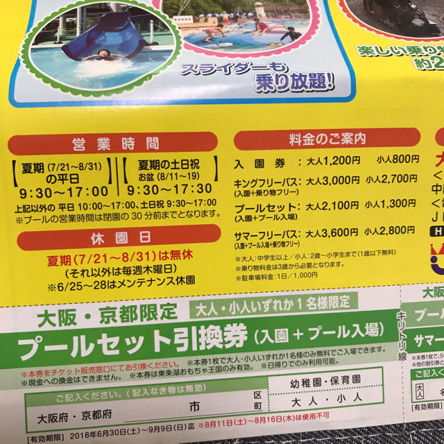 東条湖おもちゃ王国 チケット プール 入園 チケットの施設利用券(遊園地/テーマパーク)の商品写真