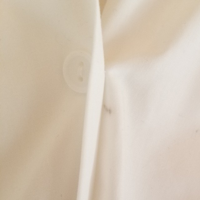 フリルブラウス レディースのトップス(シャツ/ブラウス(半袖/袖なし))の商品写真