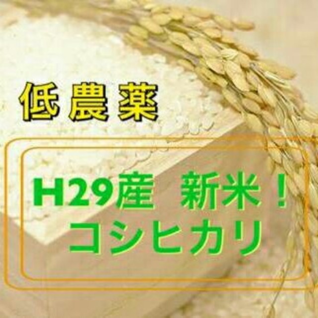 会津産‼一等米コシヒカリ25kg!!食品/飲料/酒