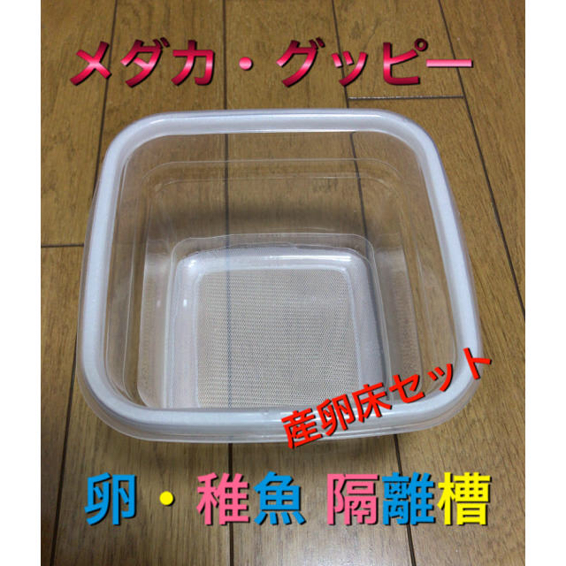 メダカ 卵 稚魚 隔離槽 大 産卵床 セットの通販 By 墨きち S Shop ラクマ メダカ 卵 稚魚 隔離槽 大 産卵床 セットの通販 By 墨きち S Shop ラクマ