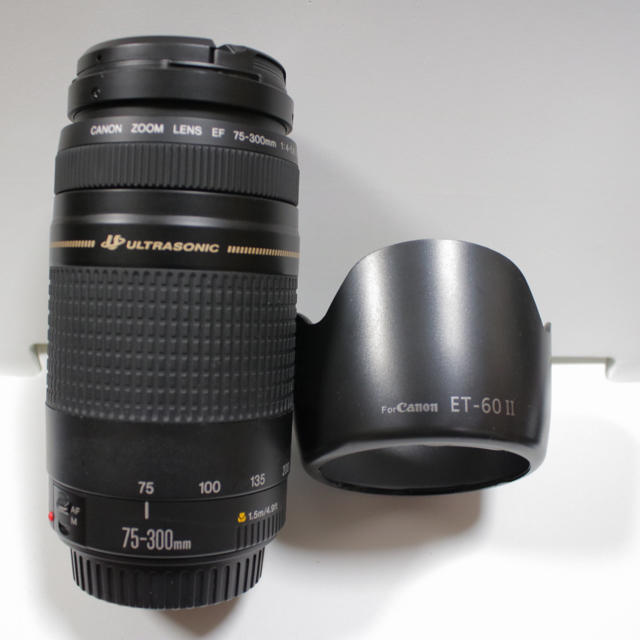 Canon EF 75-300mm ⅡUSM　#32A