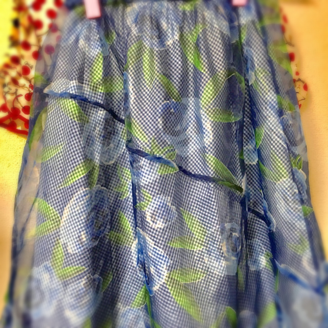 JaneMarple(ジェーンマープル)のジェーンマープル ブルーローズスカート レディースのスカート(ロングスカート)の商品写真