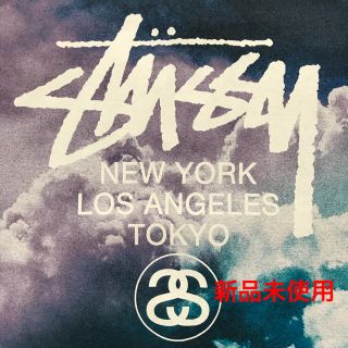 ステューシー(STUSSY)のレア【新品未使用】STUSSY Tシャツ 多数出品中！(Tシャツ/カットソー(半袖/袖なし))