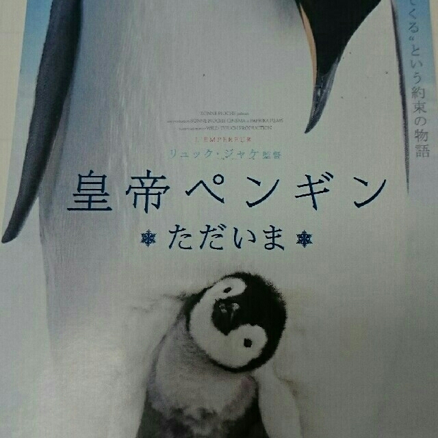 皇帝ペンギン  ただいま  試写会  大阪海遊館ホール チケットの映画(邦画)の商品写真