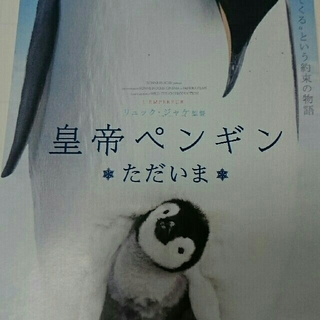 皇帝ペンギン  ただいま  試写会  大阪海遊館ホール(邦画)