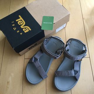 テバ(Teva)のテバ  teva レディース サイズ 6(サンダル)