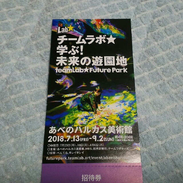 チームラボ☆あべのハルカス美術館  チケットの施設利用券(遊園地/テーマパーク)の商品写真