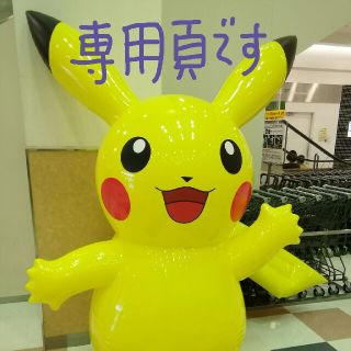 ポケモン(ポケモン)のkouna様専用頁(弁当用品)