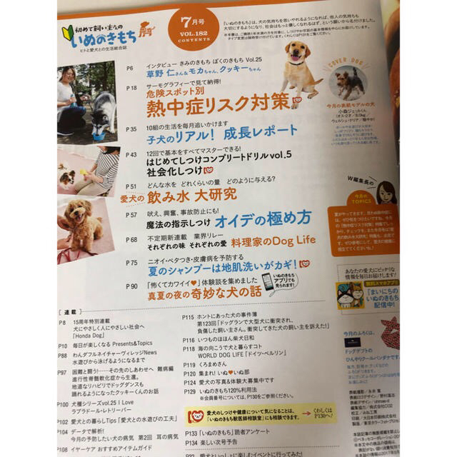 DOG DEPT(ドッグデプト)の「初めて飼い主さんの いぬのきもち」2017年7月号 その他のペット用品(犬)の商品写真