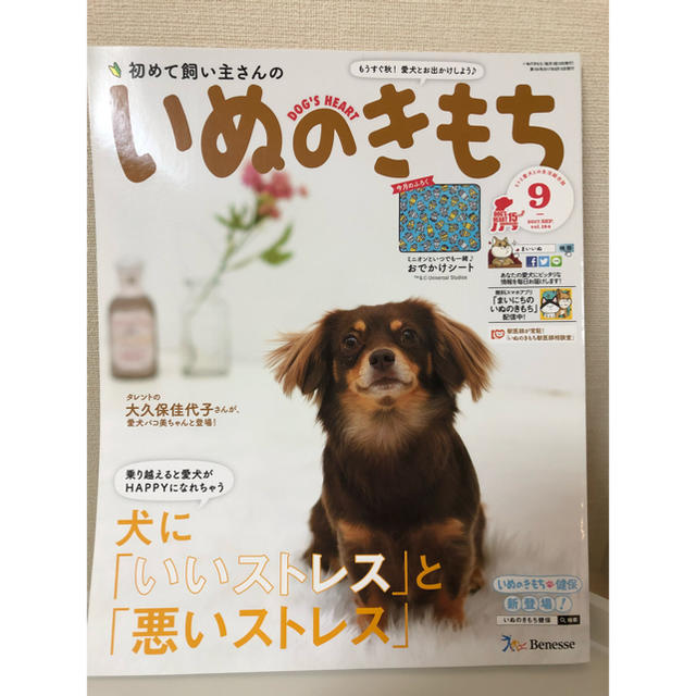 DOG DEPT(ドッグデプト)の「初めて飼い主さんの いぬのきもち」2017年9月号 その他のペット用品(犬)の商品写真