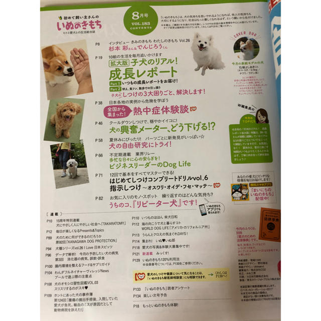 DOG DEPT(ドッグデプト)の「初めて飼い主さんの いぬのきもち」 2017年8月号 その他のペット用品(犬)の商品写真