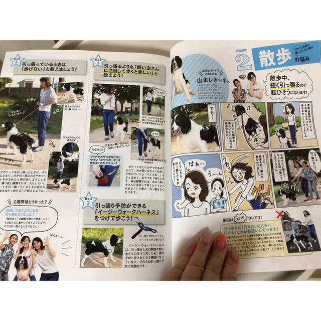 DOG DEPT(ドッグデプト)の「初めて飼い主さんの いぬのきもち」 2017年8月号 その他のペット用品(犬)の商品写真