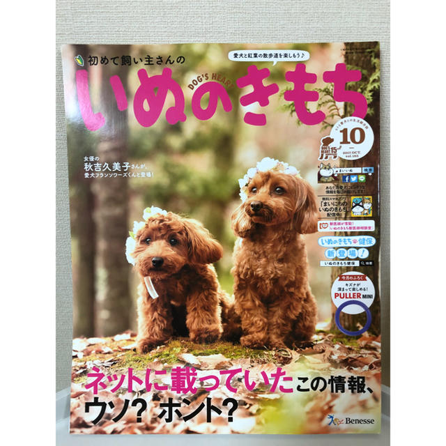 DOG DEPT(ドッグデプト)の「初めて飼い主さんの いぬのきもち」 2017年10月号 その他のペット用品(犬)の商品写真