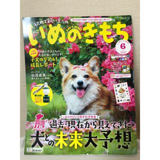 ドッグデプト(DOG DEPT)の15周年記念特集「はじめて飼い主さんの いぬのきもち」 2017年6月号(犬)