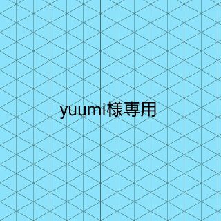 エーエヌエー(ゼンニッポンクウユ)(ANA(全日本空輸))のyuumi様専用 ANAラウンジ利用券(その他)