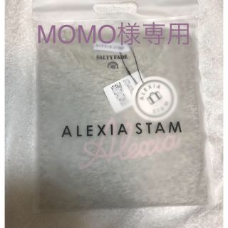 アリシアスタン(ALEXIA STAM)のALEXIASTAM Tシャツ(Tシャツ(半袖/袖なし))