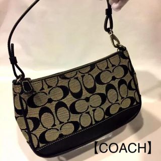 コーチ(COACH)の170 【良品】ＣＯＡＣＨ コーチ ハンドバッグ デミ ポーチ  プレート付(ハンドバッグ)