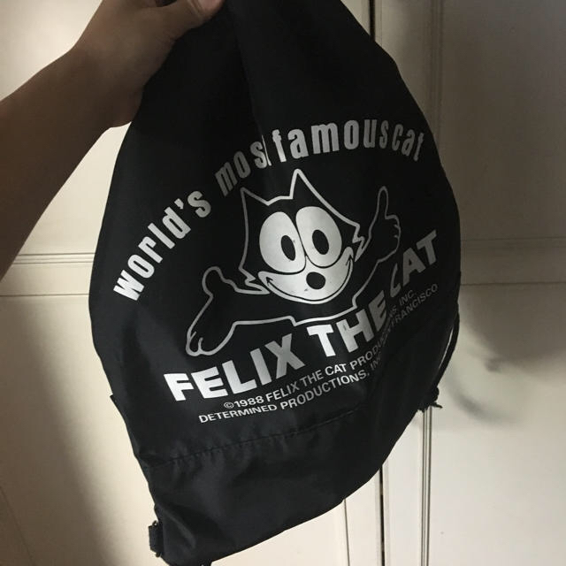 Santa Monica(サンタモニカ)のFELIX💜Ralph Lauren レディースのバッグ(リュック/バックパック)の商品写真