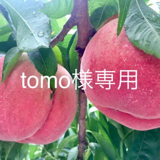 tomo様専用(フルーツ)