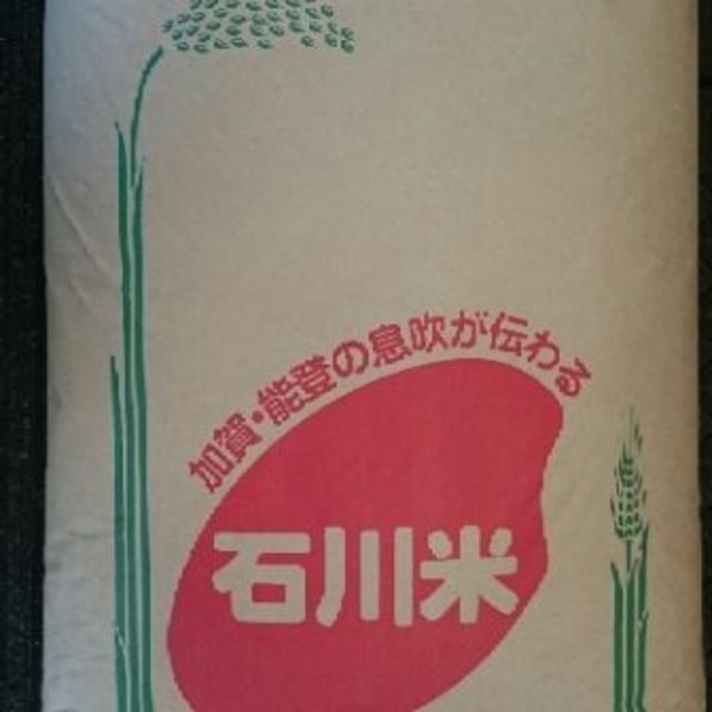 流行サイト　専用ページ　8153円　ゆめみづほ　米/穀物