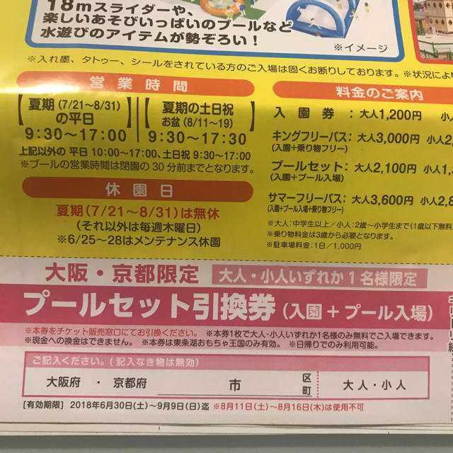 東条湖おもちゃ王国 3枚分 チケットの施設利用券(遊園地/テーマパーク)の商品写真