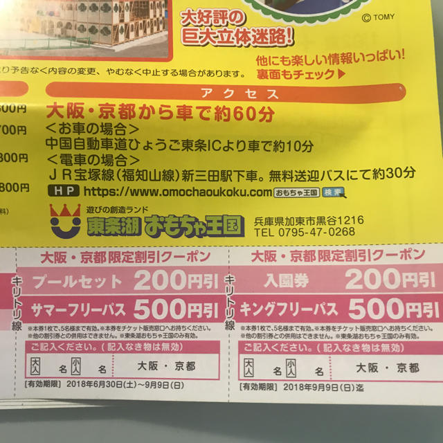 東条湖おもちゃ王国 3枚分 チケットの施設利用券(遊園地/テーマパーク)の商品写真