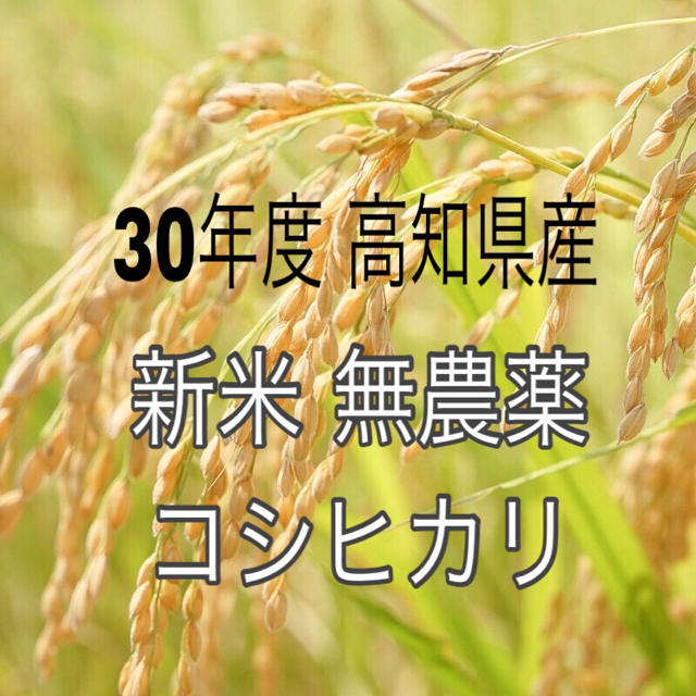 送料無料 30年度 高知県産、無農薬コシヒカリ 玄米30キロ