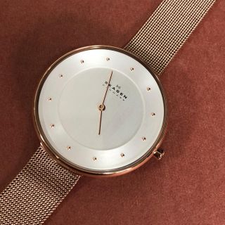 スカーゲン(SKAGEN)のSKAGEN スカーゲン レディース腕時計 アウトレット (腕時計)