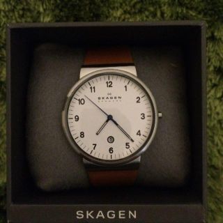 スカーゲン(SKAGEN)のSKAGEN SKW6082 腕時計 メンズ(腕時計(アナログ))