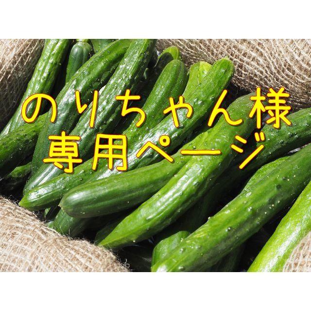 のりちゃん様専用ページ 食品/飲料/酒の食品(野菜)の商品写真