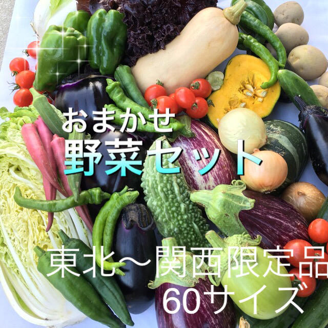 低農薬 野菜セット 60 食品/飲料/酒の食品(野菜)の商品写真