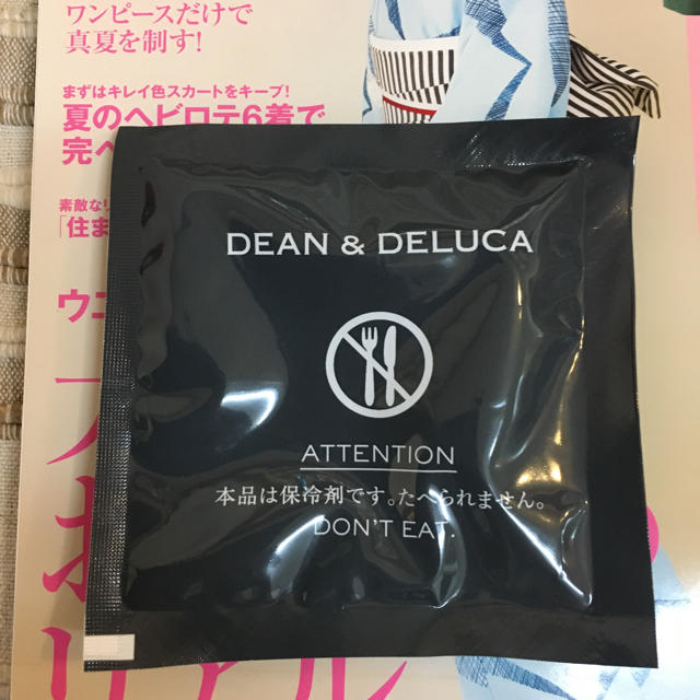 DEAN & DELUCA(ディーンアンドデルーカ)のグロー雑誌、保冷剤 インテリア/住まい/日用品のキッチン/食器(弁当用品)の商品写真