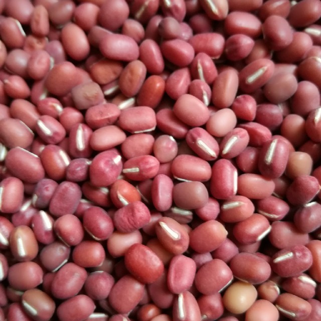 小豆　平成29年産 食品/飲料/酒の食品(米/穀物)の商品写真