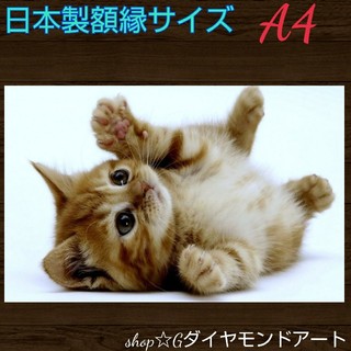 ≪749≫子猫⭐️A4サイズ フルダイヤモンドアート(アート/写真)