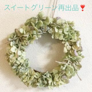 秋色紫陽花ドライリーススイートグリーン(ドライフラワー)