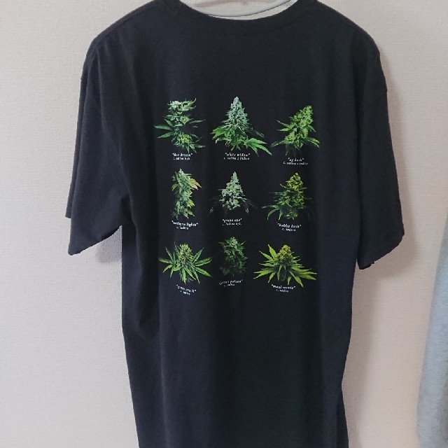 HUF(ハフ)のhufハフ420コレクション メンズのトップス(Tシャツ/カットソー(半袖/袖なし))の商品写真