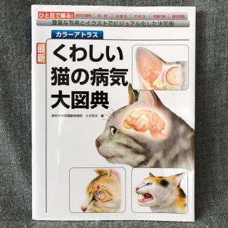 【美品】くわしい猫の病気大図典(語学/参考書)