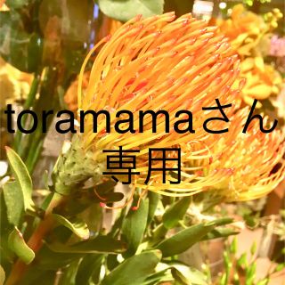 帆布コインケース（toramamaさん）専用page(生地/糸)