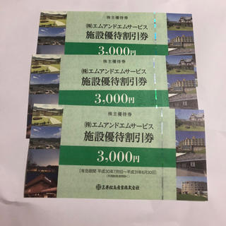 エムアンドエム(M&M)の三井松島産業 施設割引券(宿泊券)