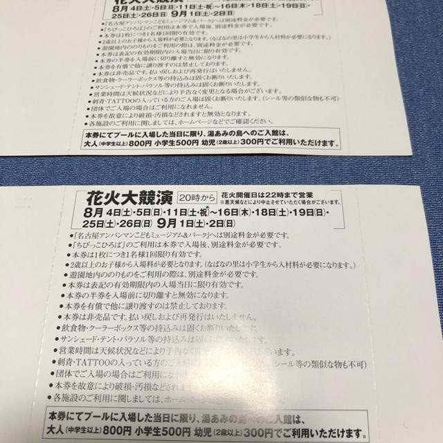 長島ジャンボ海水プール入場券 チケットの施設利用券(プール)の商品写真